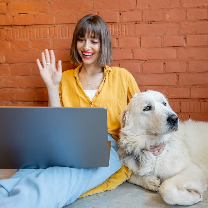 free seo consultation with LAv1