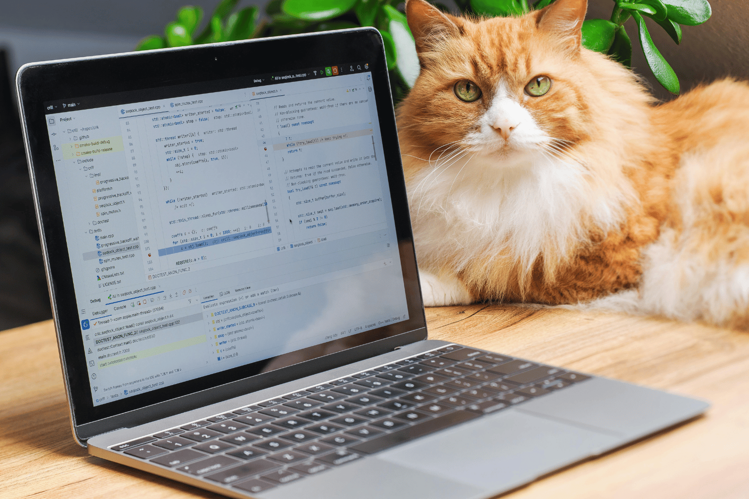 Does Word Count Matter for SEO? The Real Answer